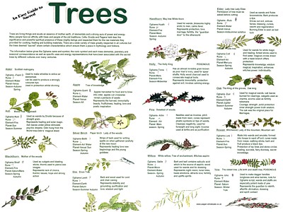 Trees Easy Guide